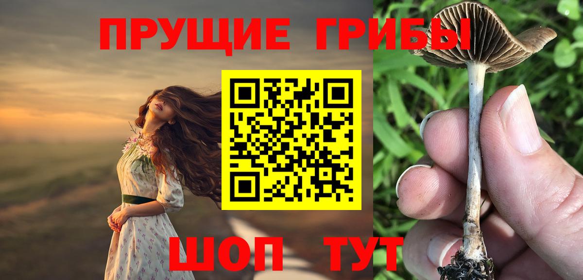 Псилоцибиновые грибы прущие грибы  Вход с VPN  Богородицк 